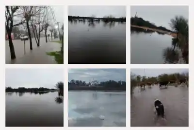 Más de 150 milímetros en horas: las impactantes imágenes que dejó la tormenta en Curuzú Cuatiá