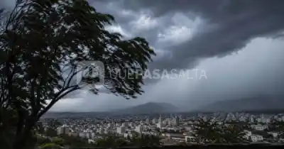 Alerta en Salta: vientos de hasta 69 km/h y un marcado descenso térmico sacuden la provincia