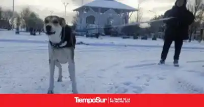 Río Gallegos bajo un frío extremo: sensación térmica de -17,5°C al amanecer