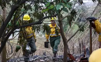 El fuego acecha en Jujuy: el drama de los vecinos de Palpalá que perdieron parte de sus casas