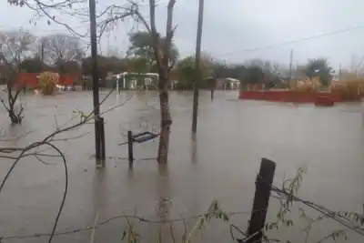 ¿Qué pasó en Corrientes? El gobernador analiza los primeros impactos del Niño