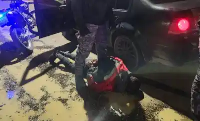Llegaron a su casa y lo que encontraron en el patio los dejó helados