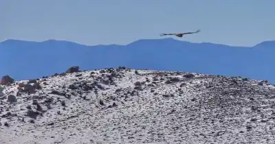 El temporal de nieve duplicó su volumen en San Juan y genera esperanzas para el verano