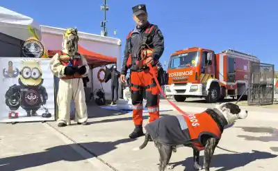 181 años de la Policía de Jujuy: lo que tenés que saber de la Expo y el desfile