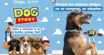 ¿La campaña más emotiva del año? La Municipalidad de Salta te invita a adoptar un amigo fiel