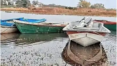 El río Paraná avanza sin freno: familias isleñas ya abandonan sus hogares en Las Cuevas