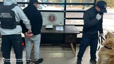 Viajaba en micro con una mochila: el contenido que alertó a los perros antinarcóticos