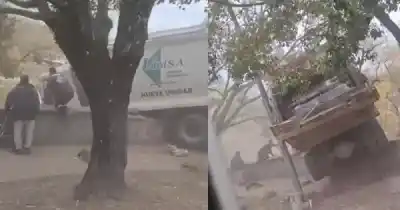 Un camión quedó colgando sobre el río Xibi Xibi y el conductor está atrapado
