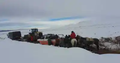 Nevadas en alta montaña: Gendarmería montó cocina de campaña y evacuó a más de 40 personas
