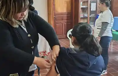 Aplicaron más de 600 dosis contra el dengue durante agosto en el sur de Tucumán