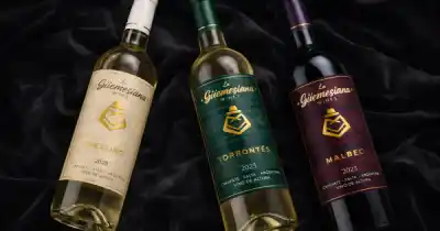 La casona de General Güemes ahora tiene sus propios vinos de altura: conocé las dos etiquetas