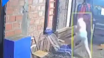 Golpeó a dos perros con un bate en Misiones: la viralización de un video lo llevó preso