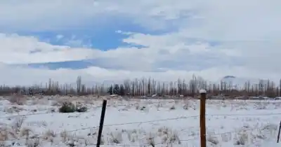 El frío extremo en la cordillera desató una campaña solidaria urgente: cómo ayudar
