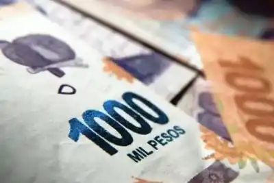 Confirmado: la Caja de Previsión Social paga las jubilaciones este viernes con aumentos escalonados
