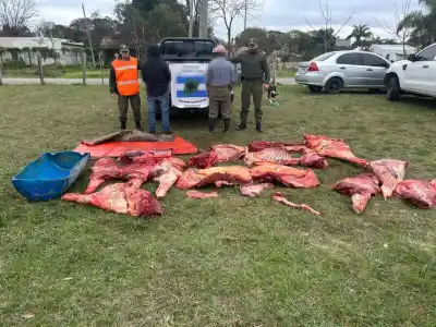 Persecución en Corrientes: encontraron 450 kilos de carne en condiciones aberrantes
