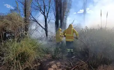 Una rama cayó sobre un cable y desató el infierno: el relato de los vecinos de Volcán sobre el incendio que arrasó campos