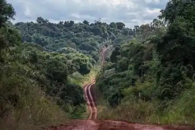 El proyecto que enciende alarmas en Misiones: ¿qué peligro ven en la venta de tierras a extranjeros?