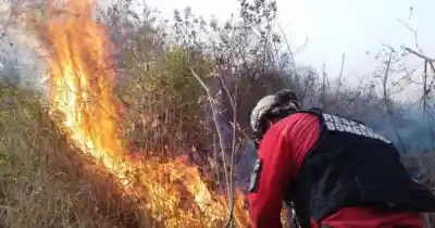 Incendio en Volcán: 650 hectáreas arrasadas y el fuego aún no está controlado