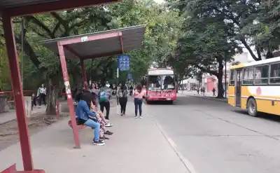 El boleto de colectivo sube en San Salvador de Jujuy: mirá cuánto vas a pagar desde este jueves