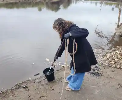 Misteriosa mortandad de peces en el río Salado: la APA ya investiga con estudios científicos
