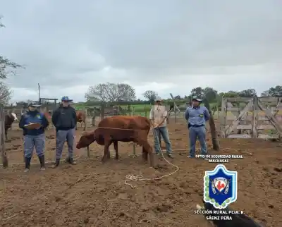 Siguieron las huellas por 12 km y encontraron la sorpresa que escondían en el monte