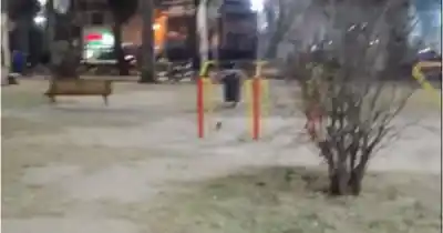 Un video del Parque San Martín desconcierta a todos: ¿quién mueve el aparato?