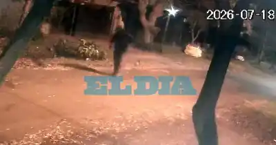 Revisaron cada rincón buscando efectivo: lo que se llevaron los ladrones al no encontrar un peso