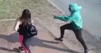 La derribaron y escaparon con 100 mil pesos: el violento asalto que conmociona a Almirante Brown