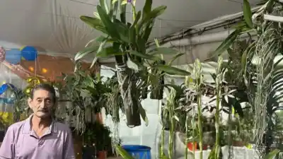 Don Manuel, el hombre que hace florecer a las orquídeas en Monteros