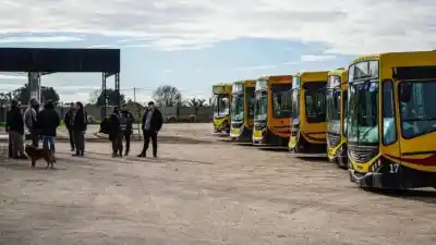 Volvieron a circular los colectivos en Necochea, pero la empresa lanza una advertencia que preocupa a todos