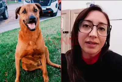 Dos disparos de escopeta en una vía aeróbica: la muerte de 'Tanque' que conmueve a General Ramírez