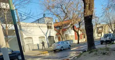 El árbol que está arruinando las calles de Barrio Norte y nadie soluciona