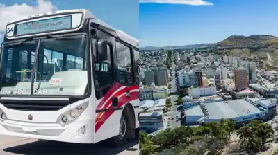 El mapa digital que cambiará tu viaje en colectivo en Comodoro: las 23 líneas y sus nuevos recorridos