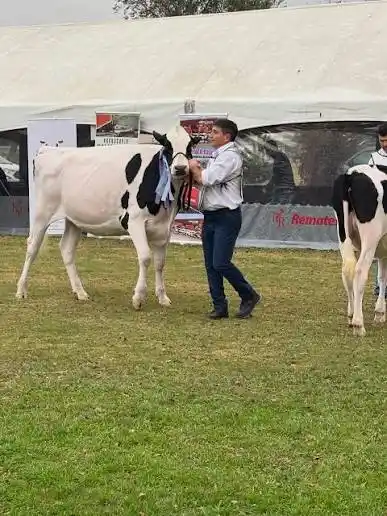 Coronel Moldes se prepara: llega la 59° Fiesta Provincial de la Ganadería con todo listo