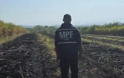 Tres hombres aprehendidos in fraganti por incendiar cañaverales en Capitán Cáceres