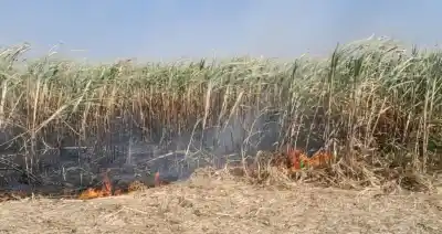 Por quemar cañaverales debe hacer donación a los Bomberos Voluntarios de Monteros