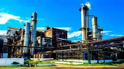 La zafra en el NOA avanza firme: 7,8 millones de toneladas de caña ya molida y un nuevo ingenio apuesta al azúcar orgánico