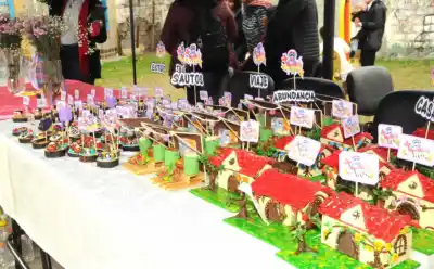 Alto Comedero se prepara para la 19° Fiesta de Santa Anita: ¿qué sorpresas trae este año?
