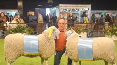 El secreto de Colonia Barón que volvió a brillar en la Rural de Palermo