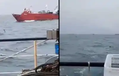 Apareció sin vida el pescador que cayó al mar en Chubut: el desgarrador hallazgo tras una búsqueda masiva