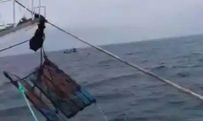 Lo que ocurrió a 15 km de la costa: hallaron sin vida al marinero que cayó al mar