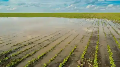 El "Súper El Niño" que asusta a las economías regionales: ¿qué pasará con la producción?