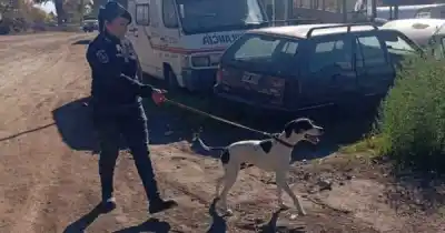 Un perro policial siguió el rastro y recuperó objetos robados en San Rafael