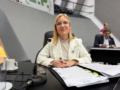 Presentan proyecto para que la IA sea materia obligatoria en secundaria de La Pampa