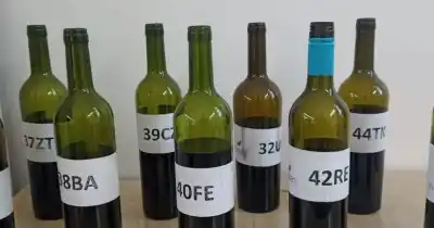 El secreto mejor guardado de los vinos sanjuaninos: 27 ediciones descifrando su identidad