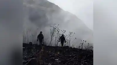 Más de 600 hectáreas arrasadas en Volcán: el fuego que aterrorizó a la Quebrada ya está dominado