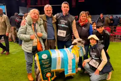 Lo que logró un criador entrerriano en el Mundial de Hampshire Down que nadie esperaba
