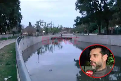 Instalaron filtros biológicos en el arroyo Las Viejas: el secreto natural que purifica el agua
