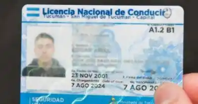 Choferes aliviados: dos meses de prórroga para las licencias profesionales tras el tarifazo