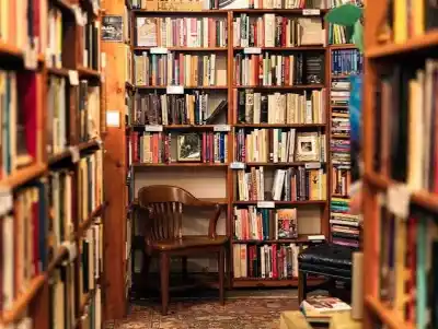 ¿El fin de las librerías independientes? La alerta en Catamarca por la posible derogación de la Ley del Libro